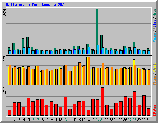 Daily usage for January 2024