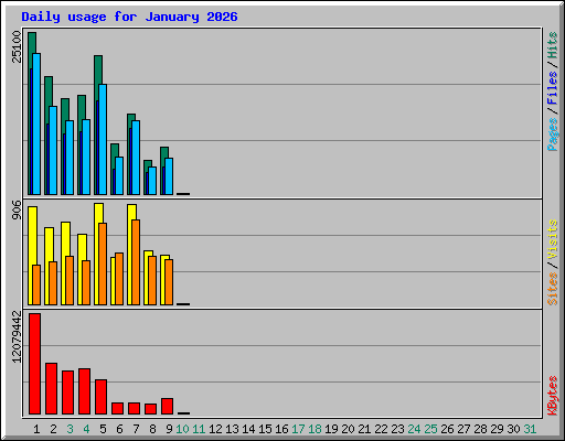 Daily usage for January 2026
