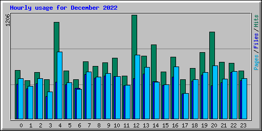 Hourly usage for December 2022