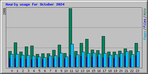 Hourly usage for October 2024