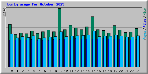 Hourly usage for October 2025